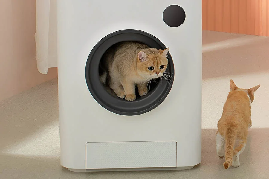 auto cat litter boxes